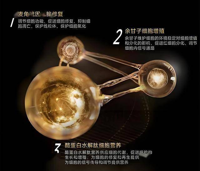 玩家称《地平线》系列主角埃洛伊最无聊！角色塑造受质疑